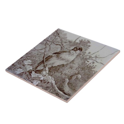 Repro 1886 Minton Sepia Transferware Bird Art TIle Fliese (Seite)