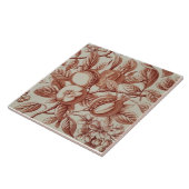 Repro Antique Pomegranat Botanische Küche Fliese (Seite)