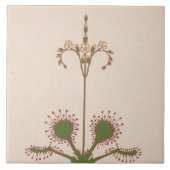 Repro Vintag  Fliese (Vorderseite)