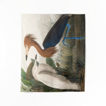 Reproduktion von Lila Heron, 1835 Plate CCLVI