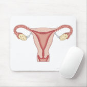 Reproduktionssystem bei Frauen 2 Mousepad (Mit Mouse)