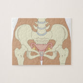 Reproduktionssystem bei Frauen 3 Puzzle (Horizontal)