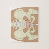 Reproduktionssystem bei Frauen 3 Puzzle (Vertikal)