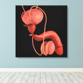 Reproduktionssystem des Menschen 1 Leinwanddruck (Insitu (Holzboden))