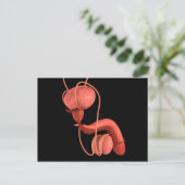 Reproduktionssystem des Menschen 1 Postkarte (Stehend Vorderseite)