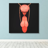 Reproduktionssystem des Menschen 5 Leinwanddruck (Insitu (Holzboden))