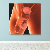 Reproduktionssystem für Menschen 6 Leinwanddruck (Insitu (Holzboden))