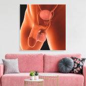 Reproduktionssystem für Menschen 6 Leinwanddruck (Insitu (Wohnzimmer))