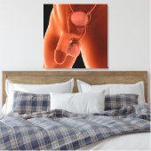 Reproduktionssystem für Menschen 6 Leinwanddruck (Insitu (Schlafzimmer))