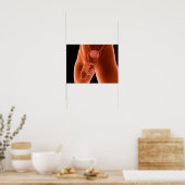 Reproduktionssystem für Menschen 6 Poster (Küche)