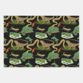 Reptil, Lizards und Amphibienmuster Geschenkpapier Set (Vorderseite 2)