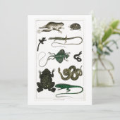 Reptil, niedlich, Eidechse, Tier, Reptilien, Schil Einladung (Stehend Vorderseite)