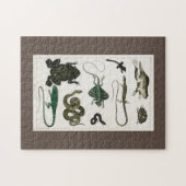 Reptil, niedlich, Eidechse, Tier, Reptilien, Schil Puzzle (Horizontal)