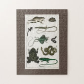 Reptil, niedlich, Eidechse, Tier, Reptilien, Schil Puzzle (Vertikal)