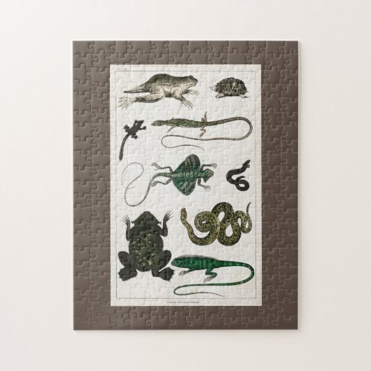 Reptil, niedlich, Eidechse, Tier, Reptilien, Schil Puzzle (Vertikal)