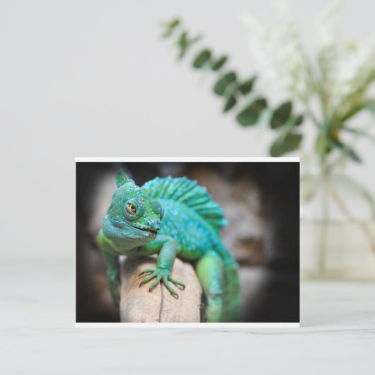 Reptil Postkarte (Stehend Vorderseite)