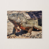 Reptil Puzzle (Horizontal)