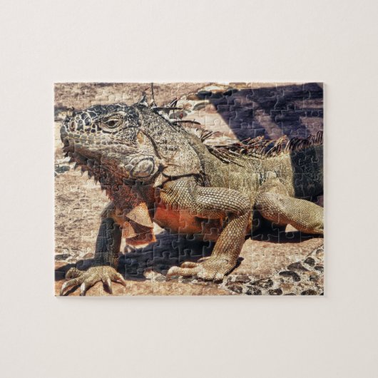 Reptil Puzzle (Horizontal)