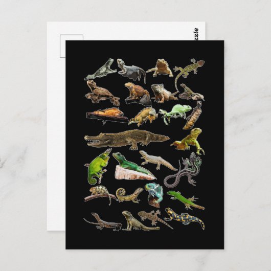 Reptile Collage Lizard Gecko Barto Dragon Postkarte (Vorne/Hinten)