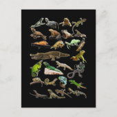 Reptile Collage Lizard Gecko Barto Dragon Postkarte (Vorderseite)