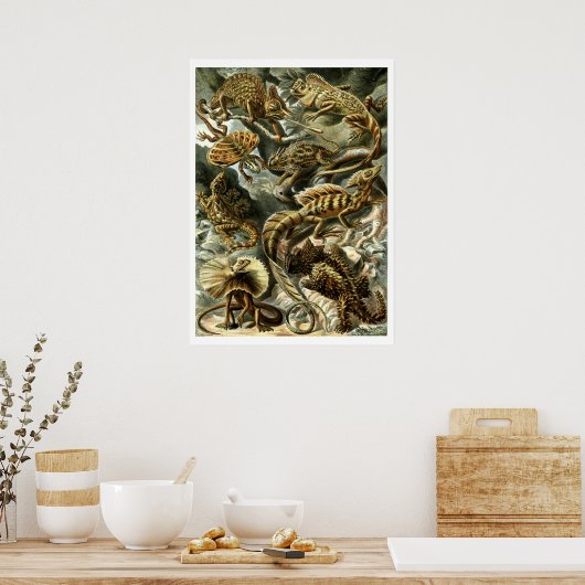 Reptile Lizards von Ernst Haeckel Poster (Küche)