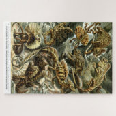 Reptile Lizards von Ernst Haeckel Puzzle (Horizontal)