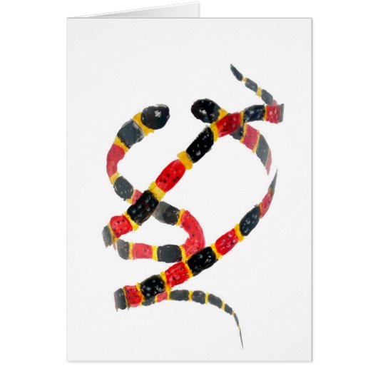 Reptile Malerei Korallenschlangen (Vorne)