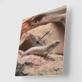 Reptile Northern blue-tongued skink Lizard Quadratische Wanduhr (Winkel)