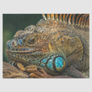Reptileisenpapier Seidenpapier
