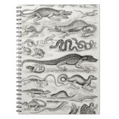 Reptiles Alligators Notizblock (Vorderseite)