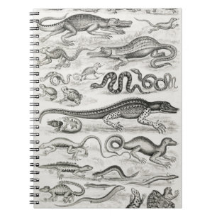 Reptiles Alligators Notizblock
