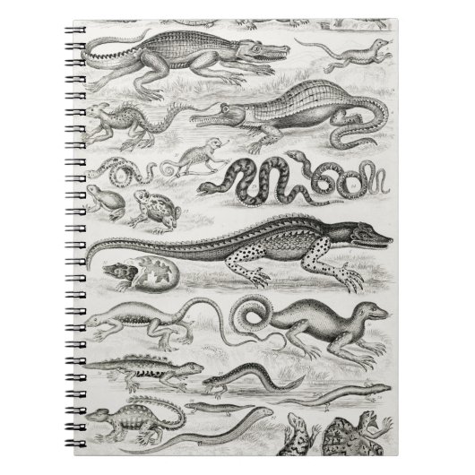 Reptiles Alligators Notizblock (Vorderseite)