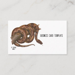 Reptiles Boa Constrictor Snake Business Card Visitenkarte