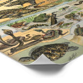 Reptiles Illustration By Adolphe Millot Poster (Ecke)