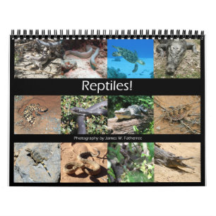 Reptiles Wall Calendar von J.W. Vater. Kalender