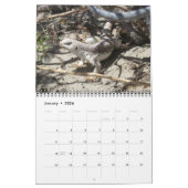 Reptiles Wall Calendar von J.W. Vater. Kalender (Jan 2026)