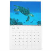 Reptiles Wall Calendar von J.W. Vater. Kalender (Mär 2026)