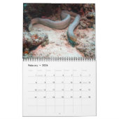 Reptiles Wall Calendar von J.W. Vater. Kalender (Feb 2026)