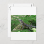 Reptilian Look.JPG Postkarte (Vorne/Hinten)