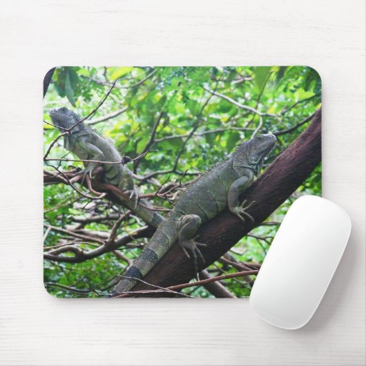 Reptilian-Ruhe Mousepad (Mit Mouse)