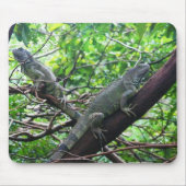 Reptilian-Ruhe Mousepad (Vorne)