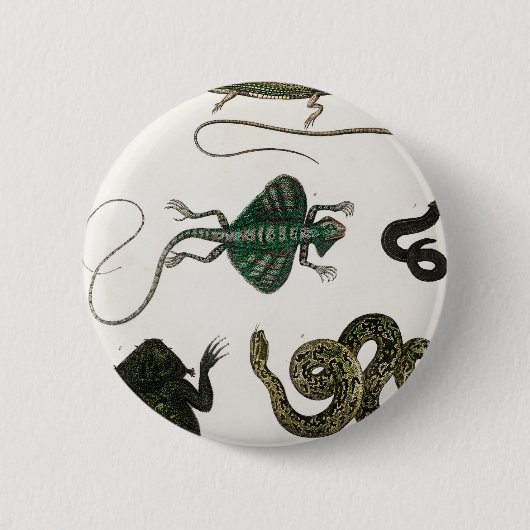Reptilien Button (Vorderseite)