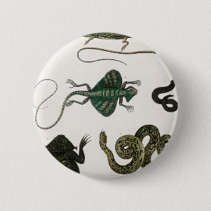 Reptilien Button