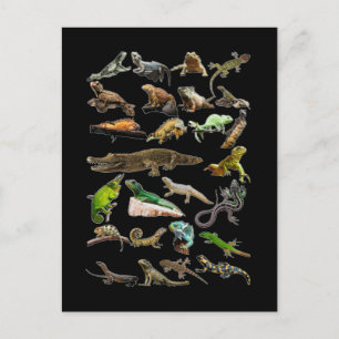 Reptilien Collage Eidechse Gecko Bartagame Postkarte