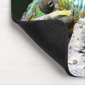 Reptilien, Eidechsen, Natur Mousepad (Ecke)