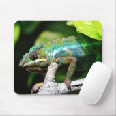 Reptilien, Eidechsen, Natur Mousepad (Mit Mouse)