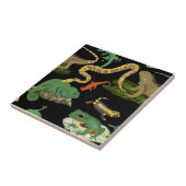 Reptilien, Eidechsen und Amphibien Nahtlose Muster Fliese (Seite)