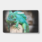 Reptilien, Natur, Eidechsen Ausweis (Rückseite)