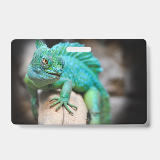 Reptilien, Natur, Eidechsen Ausweis (Vorderseite)