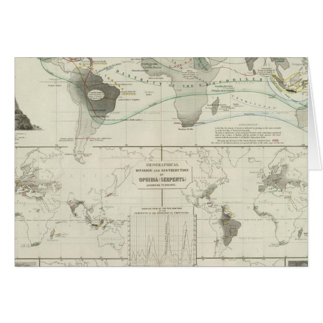 Reptilien, Ophidien (Vorderseite (Horizontal))